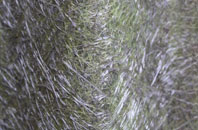 Coddenham Green fibreglass roof work